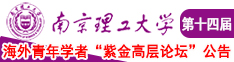 我喜欢大鸡巴视频在线南京理工大学第十四届海外青年学者紫金论坛诚邀海内外英才！